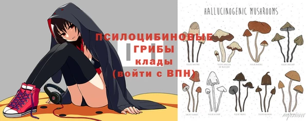 ALPHA PVP Лихославль