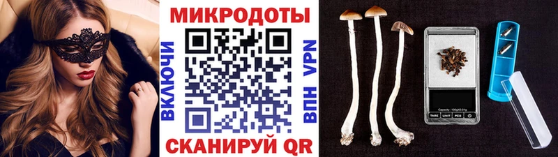 Галлюциногенные грибы мухоморы  гидра ТОР  Гдов  купить наркоту 