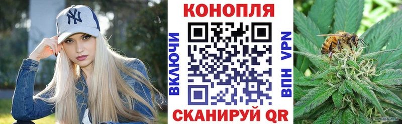 Конопля тримм  Гдов 